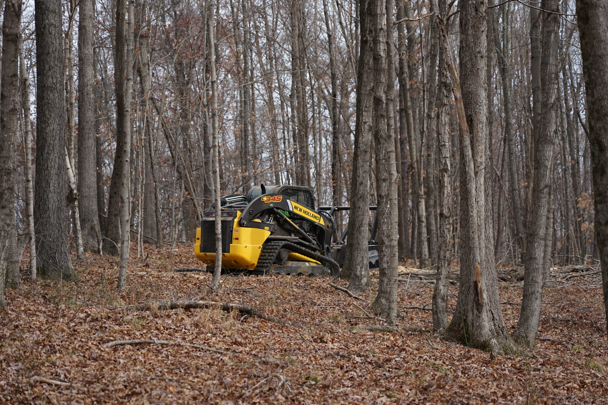 Land Clearing - Forestry Mulching
