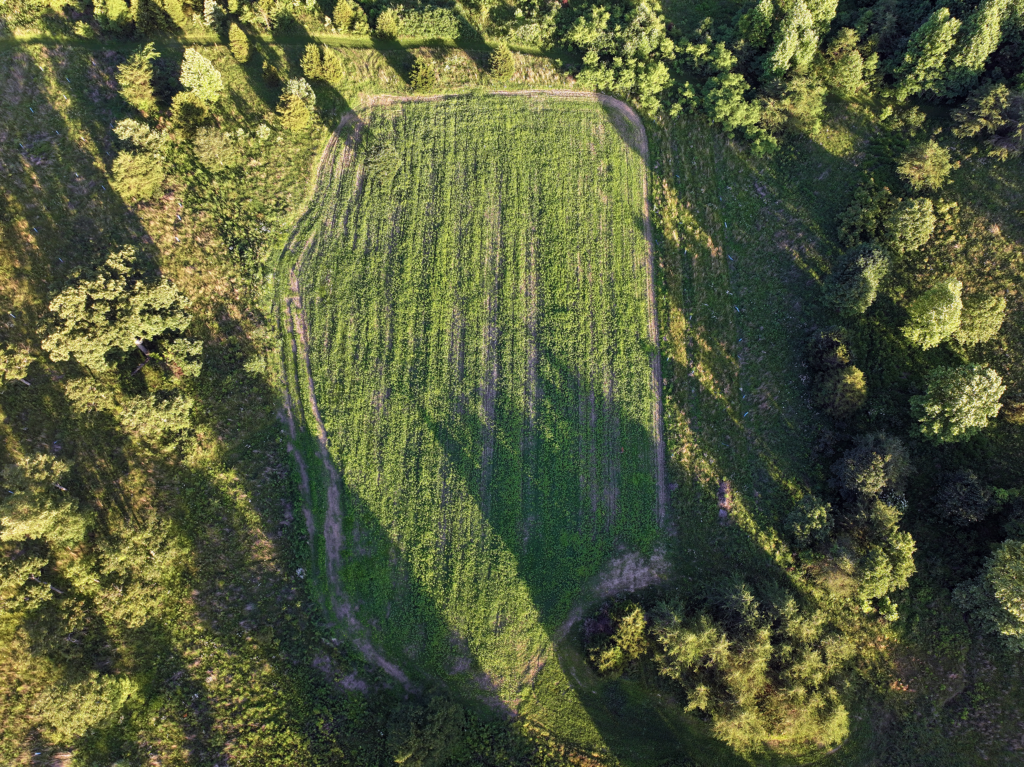 aerial photo of a clover wildlife food plot